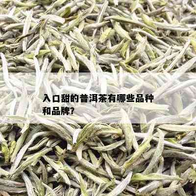 入口甜的普洱茶有哪些品种和品牌？