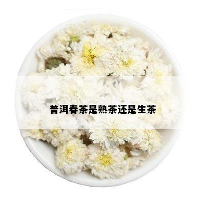 普洱春茶是熟茶还是生茶