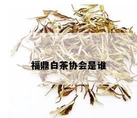 福鼎白茶协会是谁