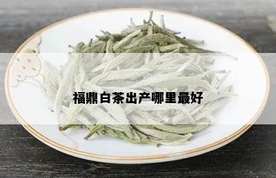 福鼎白茶出产哪里更好