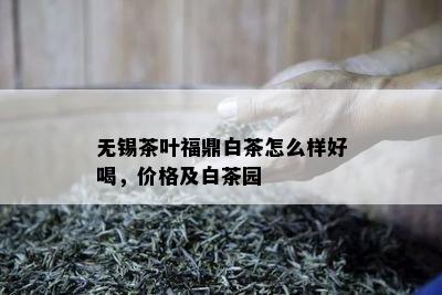 无锡茶叶福鼎白茶怎么样好喝，价格及白茶园