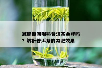 减肥期间喝熟普洱茶会胖吗？解析普洱茶的减肥效果