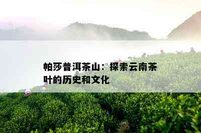 帕莎普洱茶山：探索云南茶叶的历史和文化