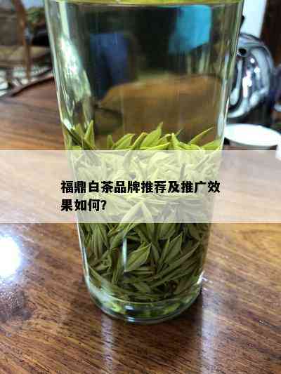 福鼎白茶品牌推荐及推广效果如何？