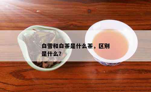 白雪和白茶是什么茶，区别是什么？