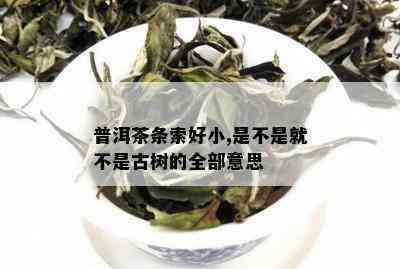 普洱茶条索好小,是不是就不是古树的全部意思