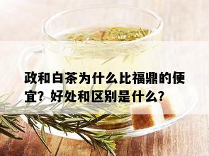 政和白茶为什么比福鼎的便宜？好处和区别是什么？