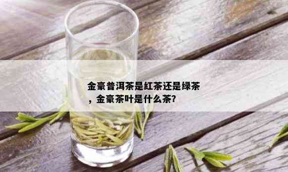 金豪普洱茶是红茶还是绿茶，金豪茶叶是什么茶？