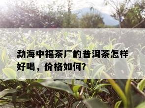 勐海中福茶厂的普洱茶怎样好喝，价格如何？