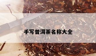 手写普洱茶名称大全