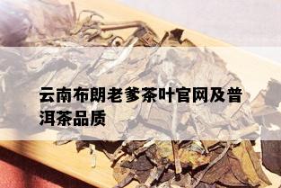 云南布朗老爹茶叶官网及普洱茶品质