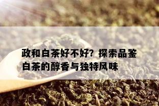 政和白茶好不好？探索品鉴白茶的醇香与独特风味