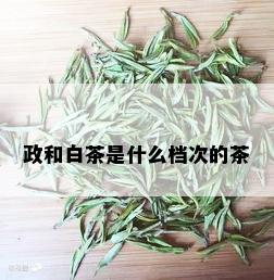 政和白茶是什么档次的茶