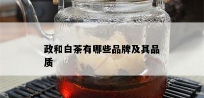 政和白茶有哪些品牌及其品质