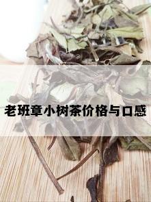 老班章小树茶价格与口感