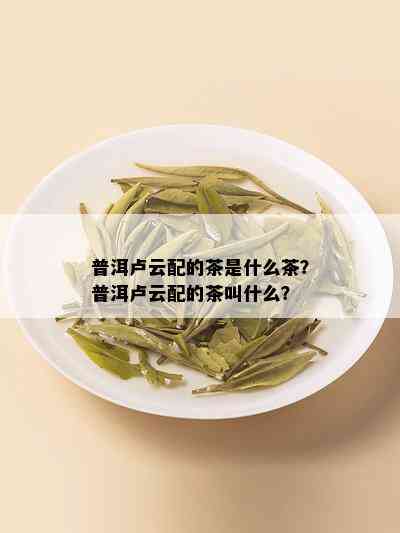 普洱卢云配的茶是什么茶？普洱卢云配的茶叫什么？