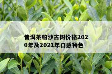 普洱茶帕沙古树价格2020年及2021年口感特色