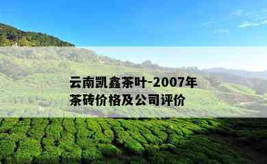 云南凯鑫茶叶-2007年茶砖价格及公司评价