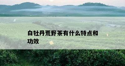 白牡丹荒野茶有什么特点和功效