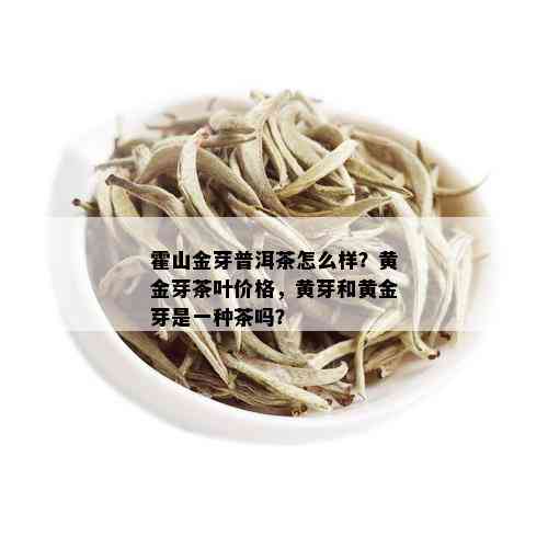 霍山金芽普洱茶怎么样？黄金芽茶叶价格，黄芽和黄金芽是一种茶吗？