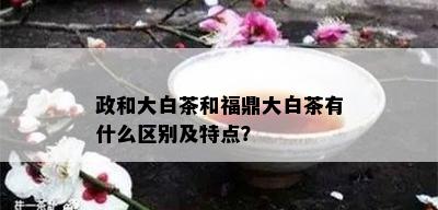 政和大白茶和福鼎大白茶有什么区别及特点？