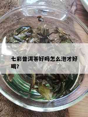 七彩普洱茶好吗怎么泡才好喝？