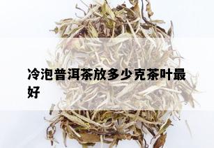 冷泡普洱茶放多少克茶叶更好