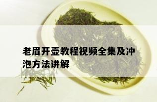 老眉开壶教程视频全集及冲泡方法讲解