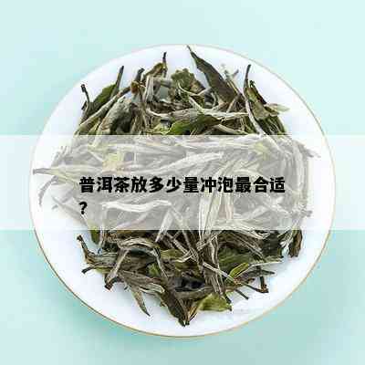 普洱茶放多少量冲泡最合适?