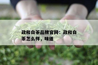 政和白茶品牌官网：政和白茶怎么样，味道