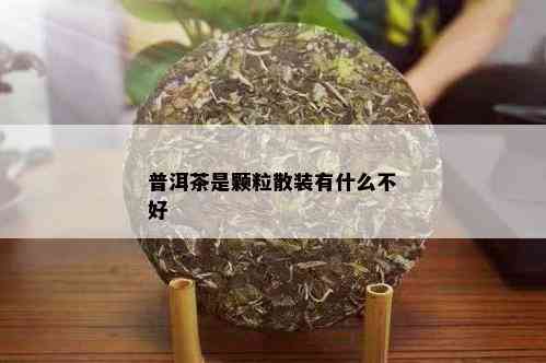 普洱茶是颗粒散装有什么不好