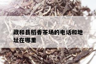 政和县稻香茶场的电话和地址在哪里