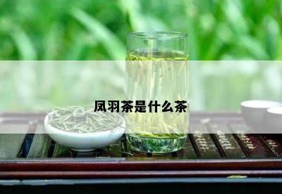 凤羽茶是什么茶