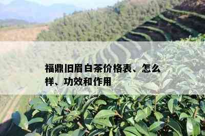 福鼎旧眉白茶价格表、怎么样、功效和作用