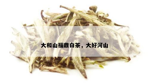 大和山福鼎白茶，大好河山