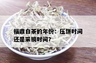 福鼎白茶的年份：压饼时间还是采摘时间？