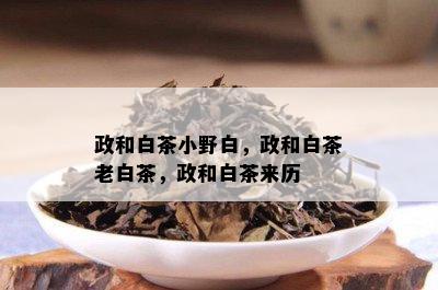 政和白茶小野白，政和白茶老白茶，政和白茶来历