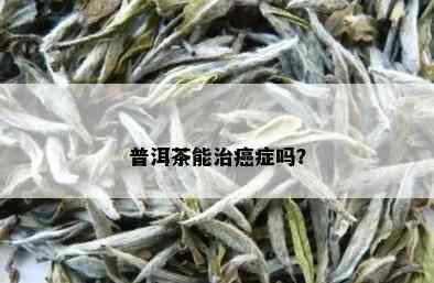 普洱茶能治癌症吗？