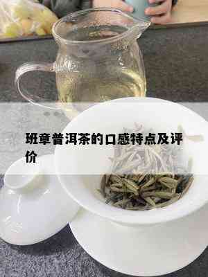 班章普洱茶的口感特点及评价