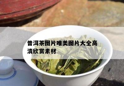 普洱茶图片唯美图片大全高清欣赏素材