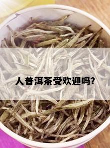 人普洱茶受欢迎吗？