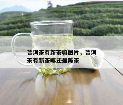 普洱茶有新茶嘛图片，普洱茶有新茶嘛还是陈茶