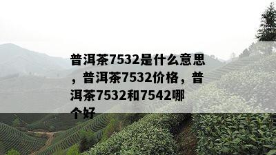 普洱茶7532是什么意思，普洱茶7532价格，普洱茶7532和7542哪个好