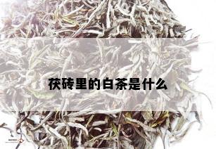 茯砖里的白茶是什么