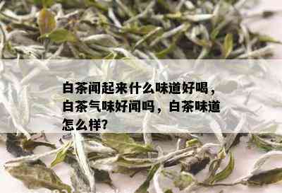 白茶闻起来什么味道好喝，白茶气味好闻吗，白茶味道怎么样？