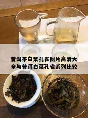 普洱茶白菜孔雀图片高清大全与普洱白菜孔雀系列比较