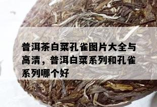 普洱茶白菜孔雀图片大全与高清，普洱白菜系列和孔雀系列哪个好