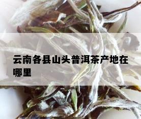 云南各县山头普洱茶产地在哪里