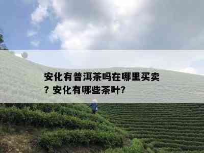 安化有普洱茶吗在哪里买卖? 安化有哪些茶叶?