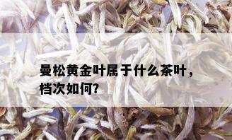 曼松黄金叶属于什么茶叶，档次如何？